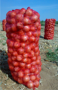 Сетка под лук,  опт #1660746