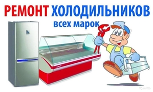 Профессиональный ремонт холодильников в Киеве и Киево-Святошинском районе. #1663476