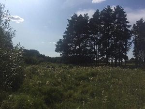 Макаровский р-н,  Грузское. Участок под жилую застройку - 20000 $ #1665987