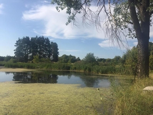 Продам участок под жилую застройку Макаровский р-н,  Грузское,  20000 $ #1665099