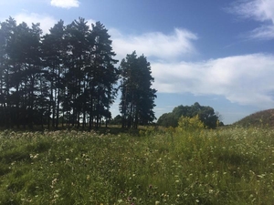 Продам участок под жилую застройку Макаровский,  Грузское,  20000 $ #1664591