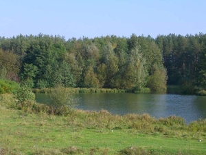 Макаровский р-н,  Грузское,  20000 $ - участок под жилую застройку #1665611