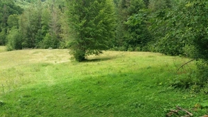 Продаж 1га с.Дора,  Яремча,  для будівництва #1666328