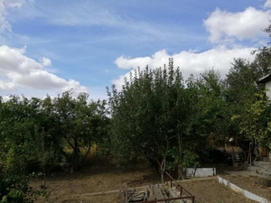 Срочно продам садовый дом 50 кв. м с постройками,  6, 63 соток,  окраина Василькова #1667241