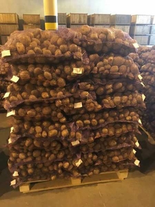 Белорусский картофель с Минщины (Бриз,  Гала,  Манифест) #1668309