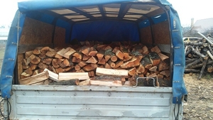 Дрова Колоті #1668581