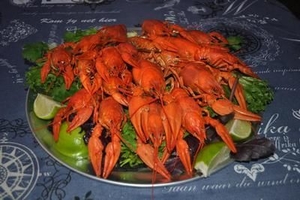 Раки от шефа — Быстрая доставка живых и вареных раков по Киеву и Киевской обл. #1668401