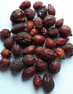 Шиповник сушеный. #1666574