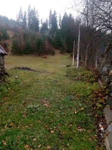 Продається 1.18га с.Поляниця #1666633