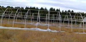 Каркасные металлические теплицы в Крынках #1669627