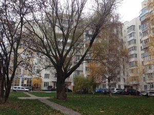 Срочно продам уютную квартиру с видом на взлетную полосу #1670721