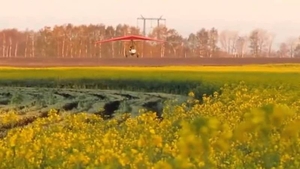 Авіахімобробка ріпаку та гороху дельтаплан вертоліт літак #1670446