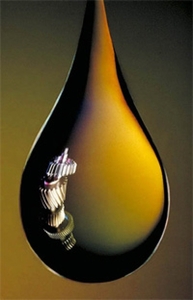 Вакуумное масло ВМ-1C #1669964