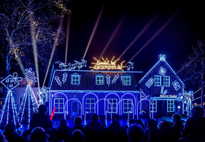 Новогоднее и уличное освещение,  гирлянды. Горячие цены #1671562