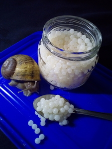 икра средиземноморской улитки #1672244