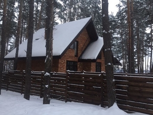 Дом в сосновом лесу #1671929