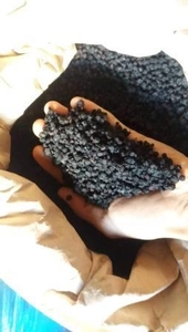 Предлагаем сушеные плоды черники карпатской #1672833