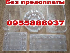 Упаковка на перепелиное куриное яйцо. Лоток для ягод пинетки  #1671674