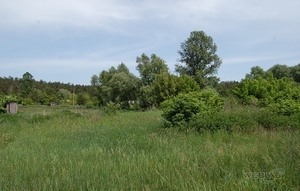 Продажа земельного участка 182, 65 сот. в СОБСТВЕННОСТИ. с. Залесье,  Броварской р #1675021