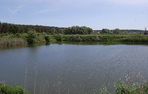 НЕДОРОГО. Аренда- продажа участков. Под любой вид деятельности. Есть озеро под р #1675101