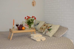 Уютная,  стильная квартира в Харькове,  посуточно #1674246