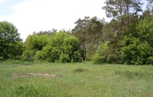 Продажа земельного участка 162, 89 сот. в СОБСТВЕННОСТИ. с. Залесье,   #1675017