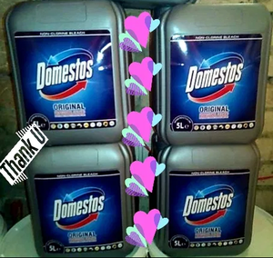Средство для уборки Domestos #1674228