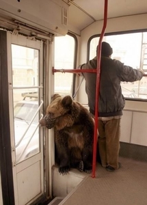 Ремонт окон Киев,  регулировка дверей,  диагностика и срочный ремонт #1674692