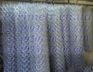 Сітка рабиця #1673393