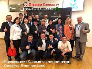 Лучшая альтернатива лекарств-конопляное масло #1675759