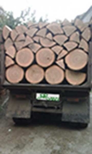 Дрова дубовые в чурках или колотые #1676931