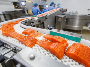 Рыбный завод Морпул г. Дуниново Польша #1676215