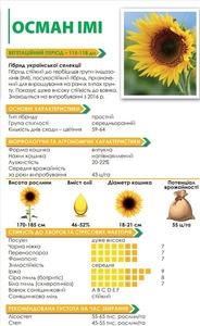 Насіння соняшнику ОСМАН  #1675603