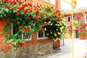 Требуются сотрудники в частный мини-пансионат #1677393