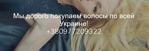 Купуємо дорого волосся Тернопіль. #1678766