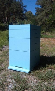 Улья многокорпусные (Дадан,  Рута,  Магазин) #1678345