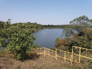 Земельный участок под жилую застройку возле Кропивницкого. #1679560