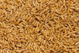 Агропродукция #1677786