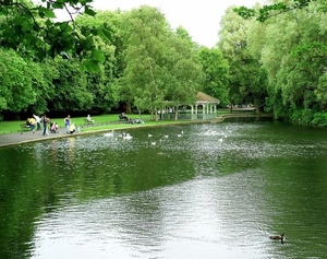 Биопрепарат Био-плюс для шоковой очистки воды в прудах и аквариумах. #1679235