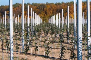 Продам столбики бетонные для садов,  виноградников #1652126