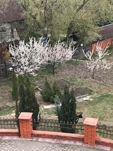 Продажа загородного участка с фруктовым садом #1680141