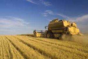 Фермери України #154479