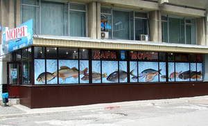 Оформление торговой точки #591055