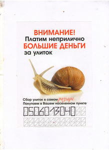 Куплю улитку #1682685