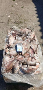 Продам речную охлажденную и с/м рыбу: тарань,  лещ,  подлещ,  густеру,  су #1533814