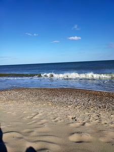 Сдам квартиру у моря #1682240