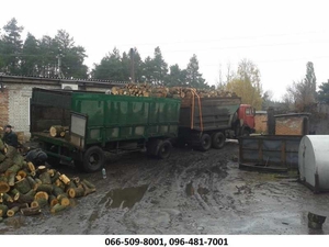 Продам дрова. Дуб сухой,  метровый. #1685858