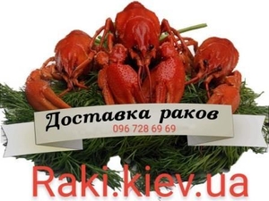 Закупаем Раки живые оптом #1685226