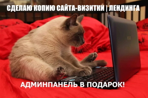 Сделаю точную копию сайта  #1684339