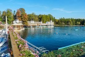 Строительство ферм разведения рыбы, раков, креветок. #1684406